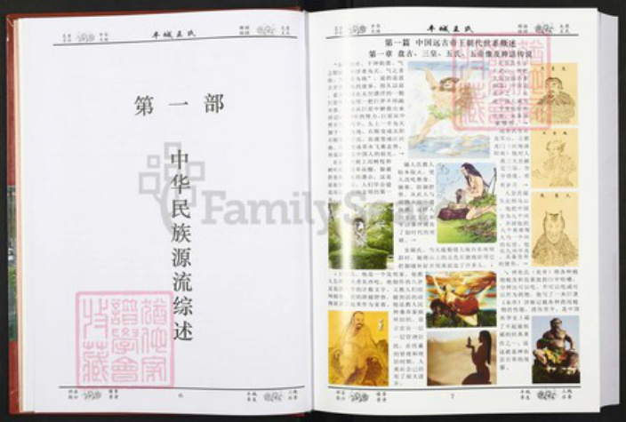 江西省宜春市丰城市王氏族谱-丰城王氏.pdf电子版插图4
