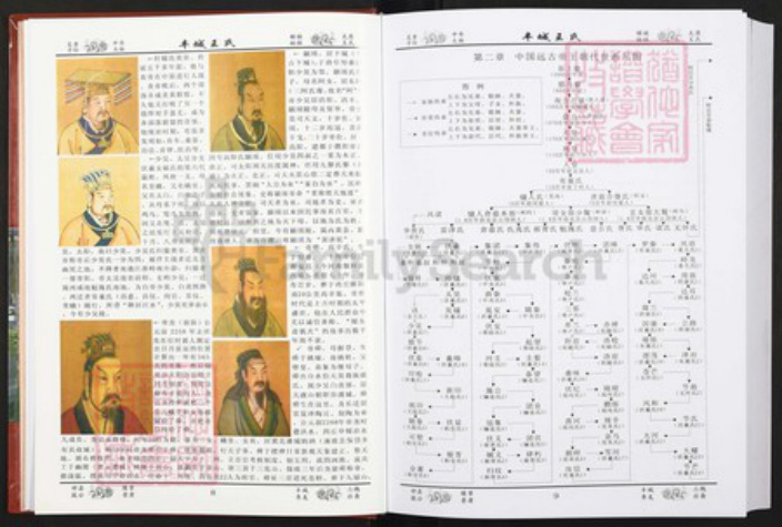 江西省宜春市丰城市王氏族谱-丰城王氏.pdf电子版插图5