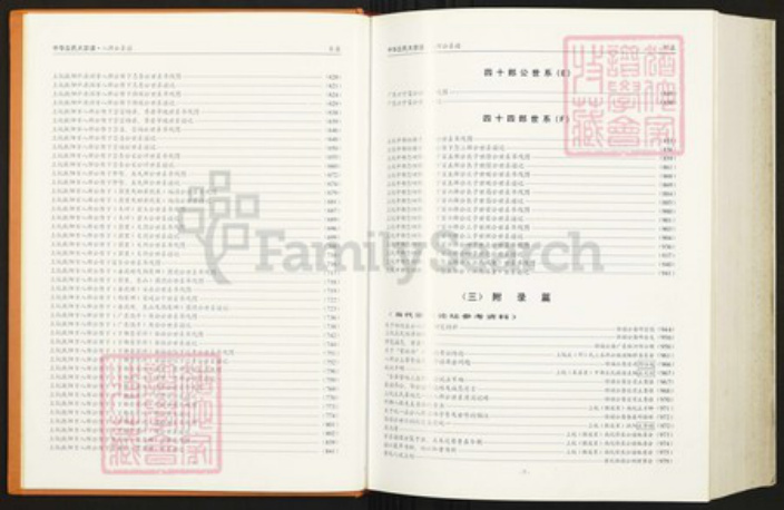 福建省龙岩市上杭县下都乡丘氏族谱-中华丘氏大宗谱.八郎公系谱之三.pdf电子版插图5
