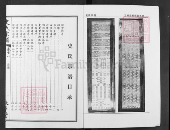 湖北省武汉市新洲区史氏敦本堂族谱-史氏宗谱.pdf电子版插图4