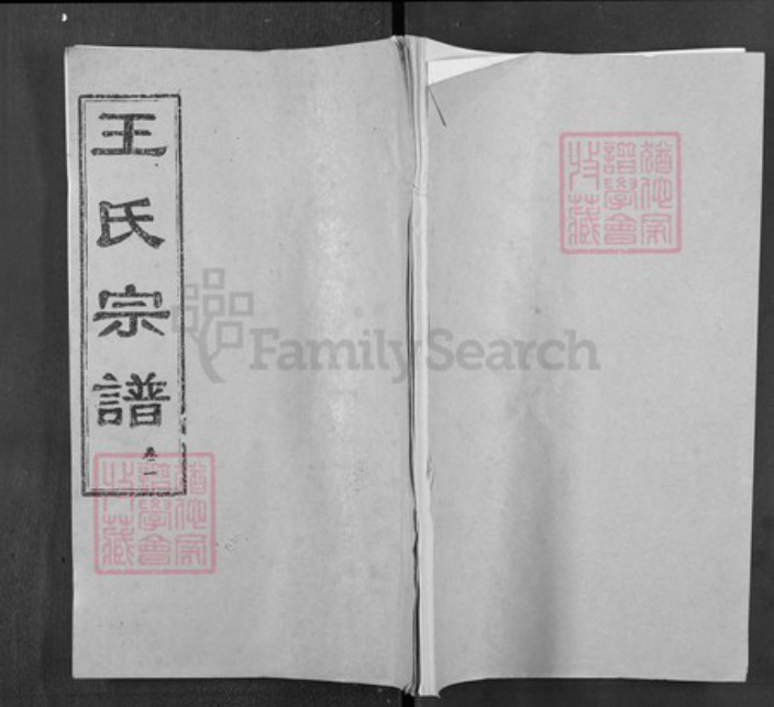 湖北省武汉市新洲区王氏三槐堂族谱-王氏宗谱.pdf电子版插图