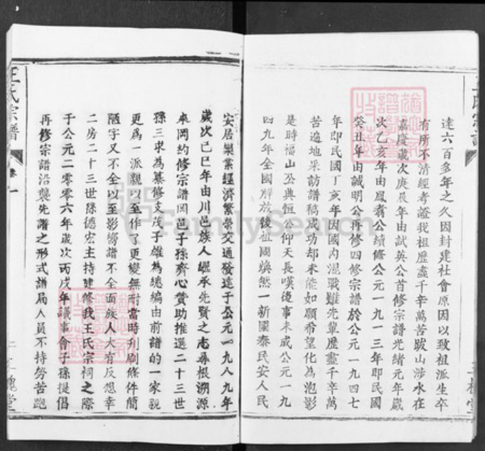 湖北省武汉市新洲区王氏三槐堂族谱-王氏宗谱.pdf电子版插图5