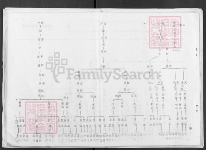 湖北省孝感市汉川市张氏南轩堂族谱-张氏宗谱.pdf电子版插图2