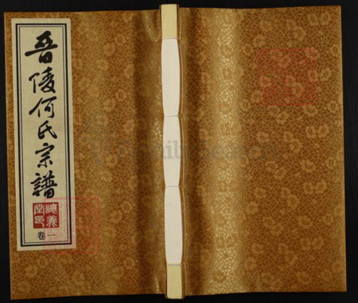 江苏省常州市武进县何氏让义堂族谱-晋陵何氏宗谱.pdf电子版插图