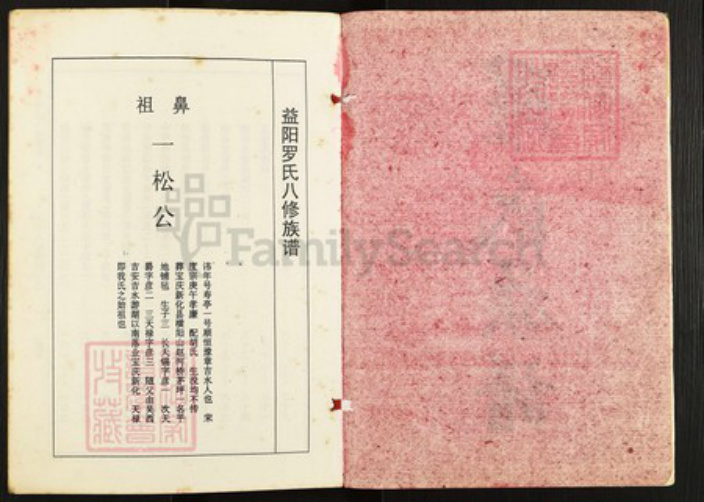 湖南省益阳市赫山罗氏族谱-罗氏八修族谱.pdf电子版插图2