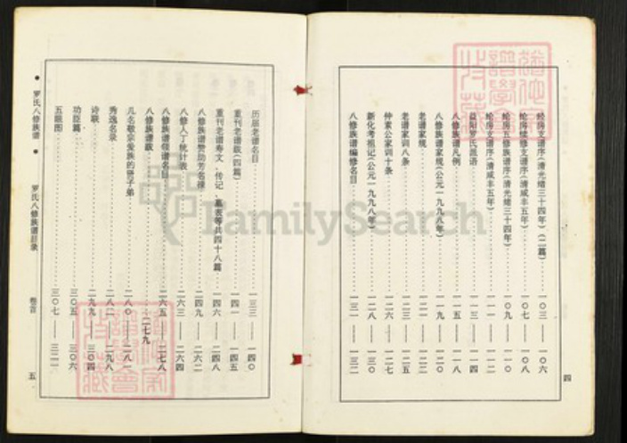 湖南省益阳市赫山罗氏族谱-罗氏八修族谱.pdf电子版插图4