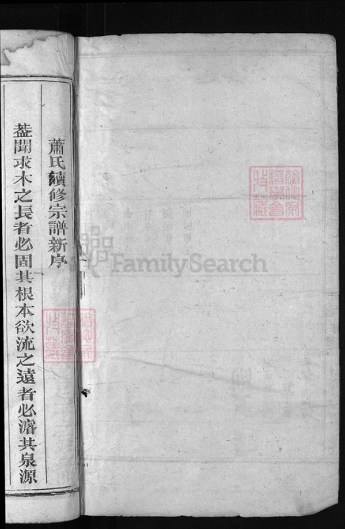 福建省泉州市永春县江西省上饶市广丰区萧氏族谱-萧氏宗谱 [10卷].pdf电子版插图1