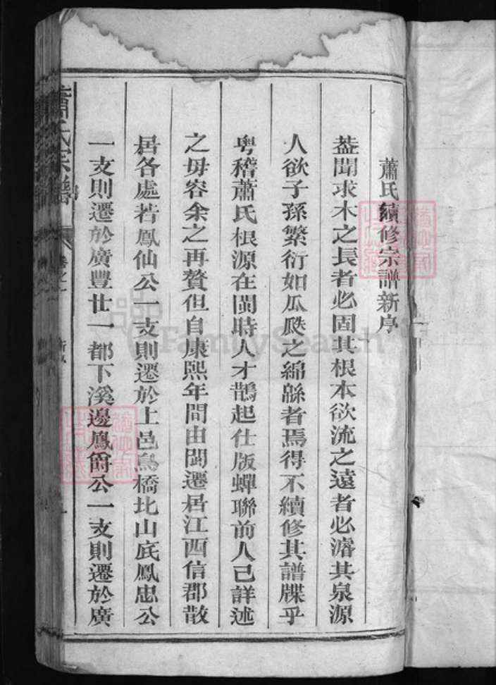 福建省泉州市永春县江西省上饶市广丰区萧氏族谱-萧氏宗谱 [10卷].pdf电子版插图2