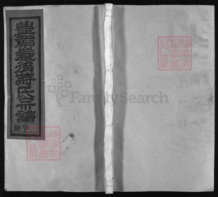 江西省上饶市广丰区江西省吉安市永丰县蒋氏族谱-丰谿岩后蒋氏宗谱 [20卷].pdf电子版