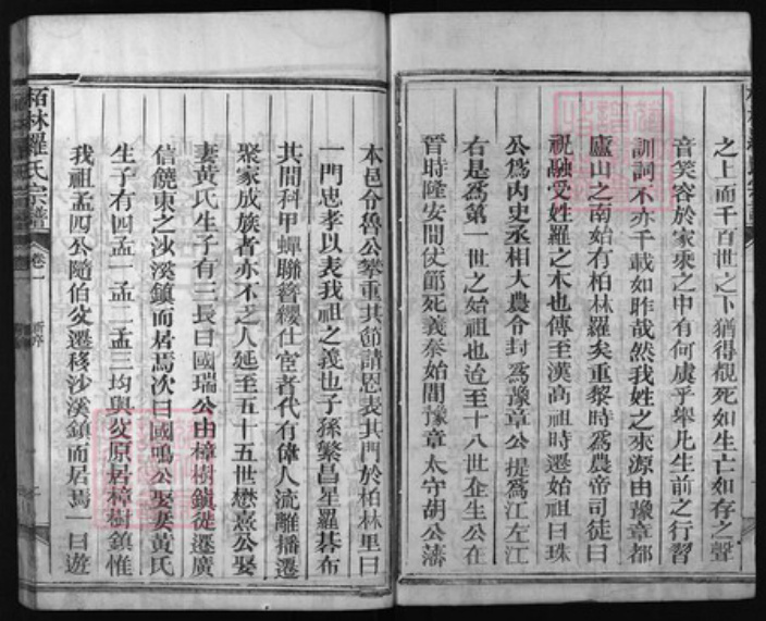 江西省上饶市罗氏族谱-柏林罗氏宗谱 [4卷].pdf电子版插图2