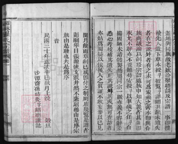 江西省上饶市罗氏族谱-柏林罗氏宗谱 [4卷].pdf电子版插图4