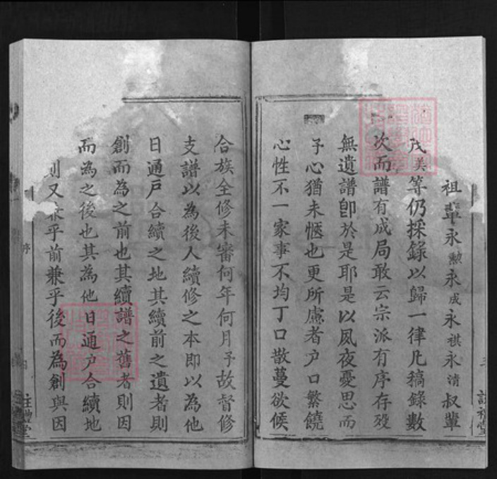 湖北省黄冈市黄州区戴氏族谱-戴氏支谱 [6卷].pdf电子版插图4