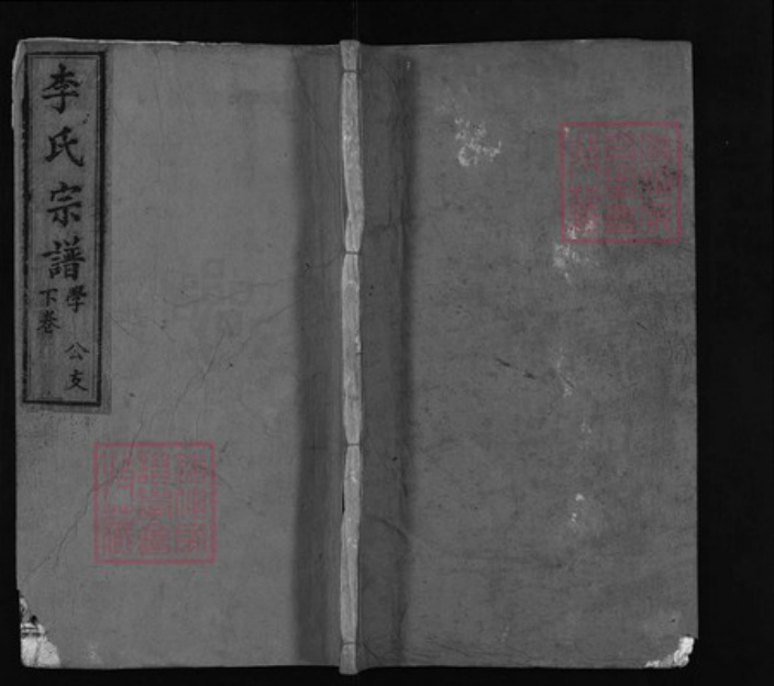 湖北省黄冈市红安县杏花乡李氏族谱-李氏宗谱 [12卷,首1卷].pdf电子版插图