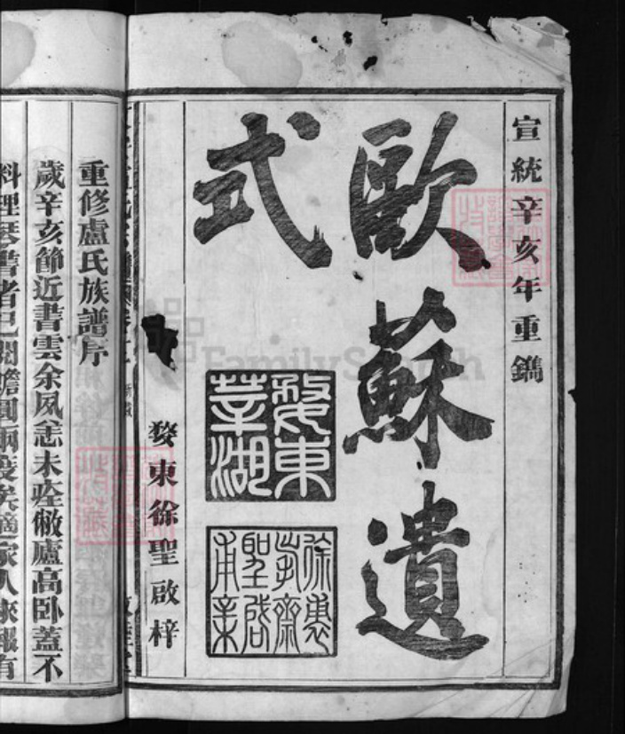 浙江省杭州市富阳新登镇镇卢氏族谱-东安卢氏宗谱 [12卷].pdf电子版插图1
