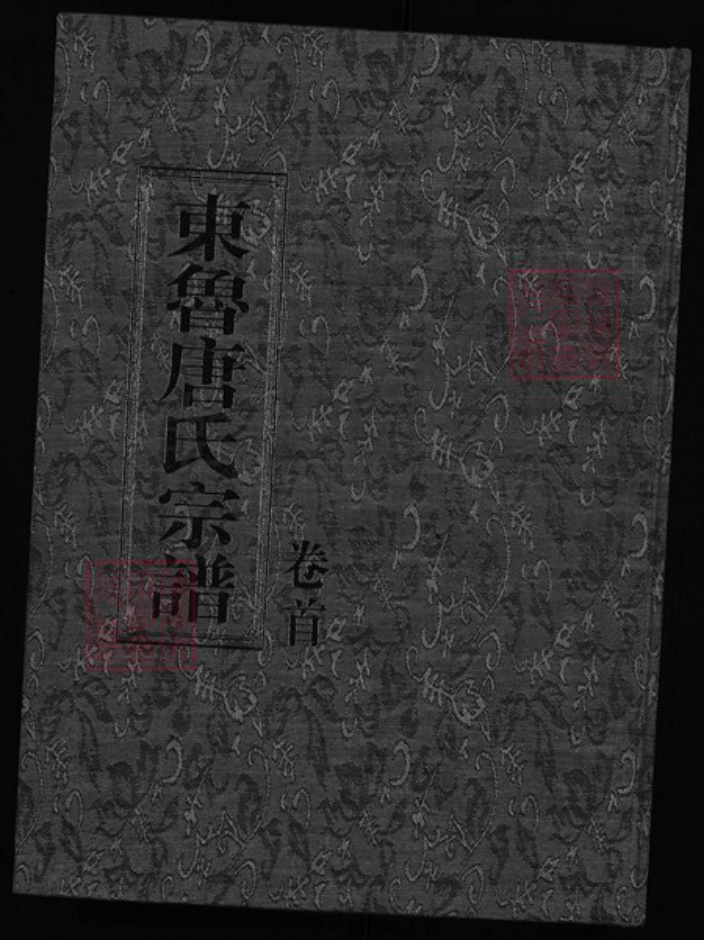 浙江省唐氏族谱-东鲁唐氏宗谱 [4卷].pdf电子版插图