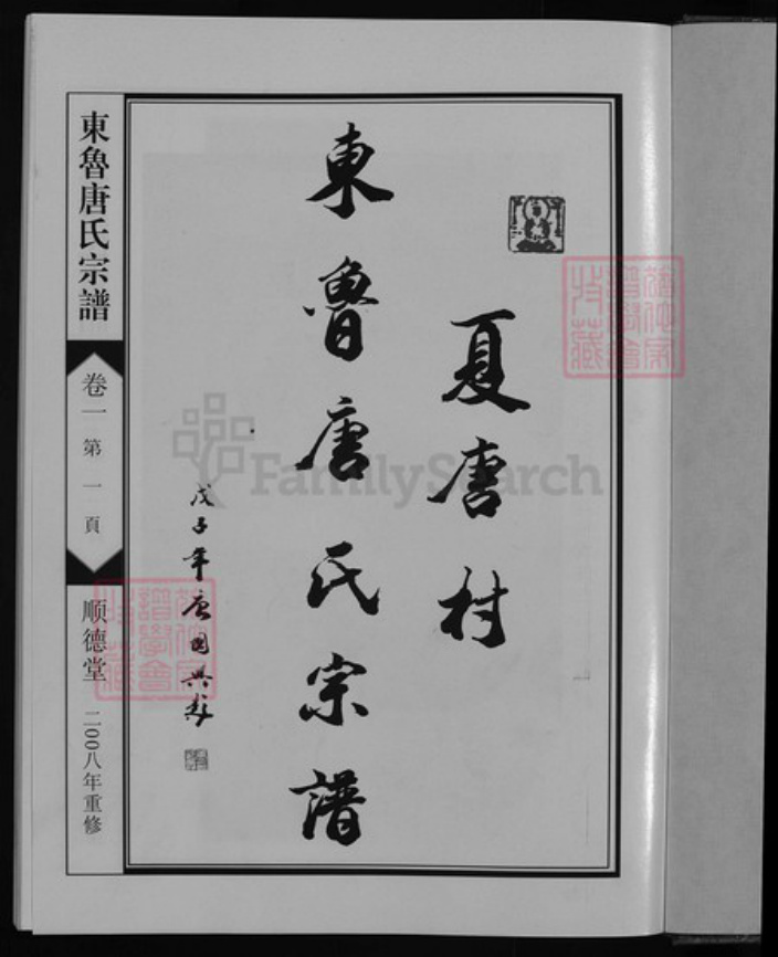 浙江省唐氏族谱-东鲁唐氏宗谱 [4卷].pdf电子版插图2