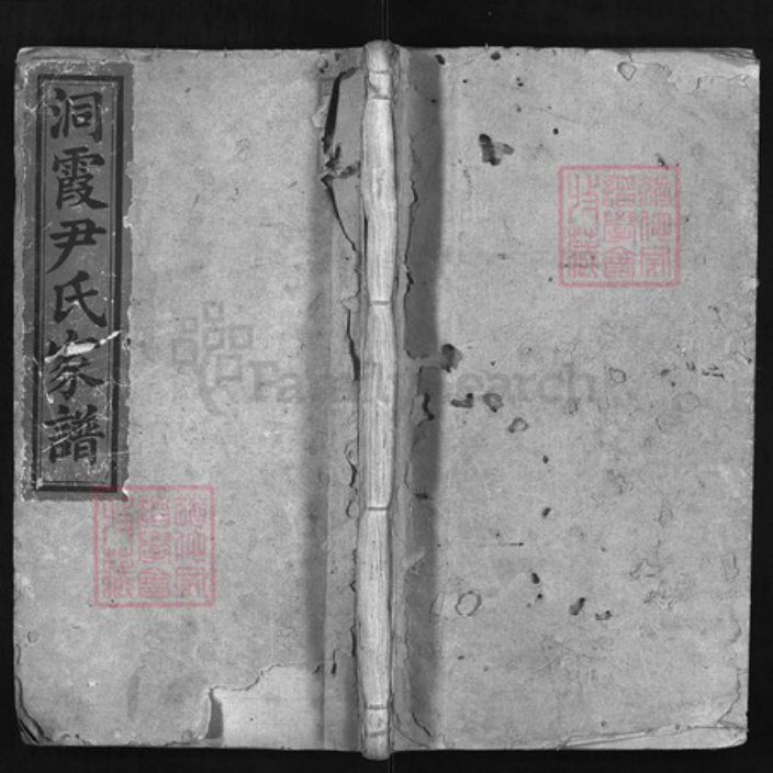 湖南省邵阳市邵阳县尹氏族谱-洞霞尹氏家谱 [2卷,首1卷].pdf电子版插图