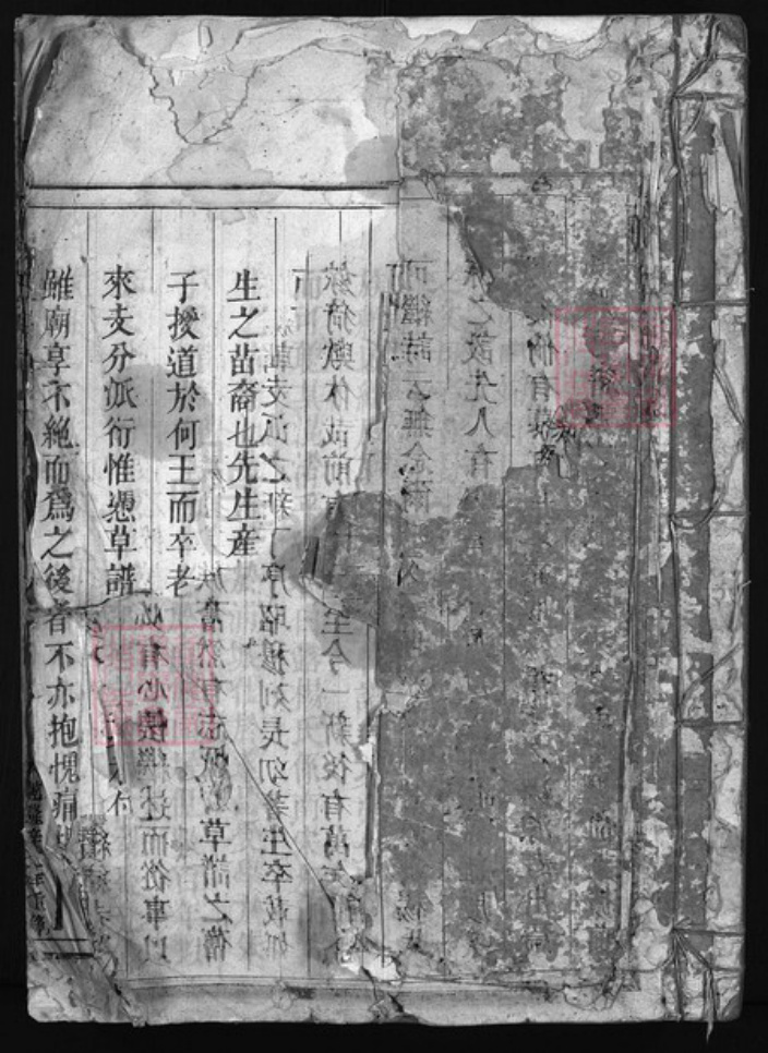 浙江省杨氏族谱-白露杨氏宗谱 [上下卷].pdf电子版插图