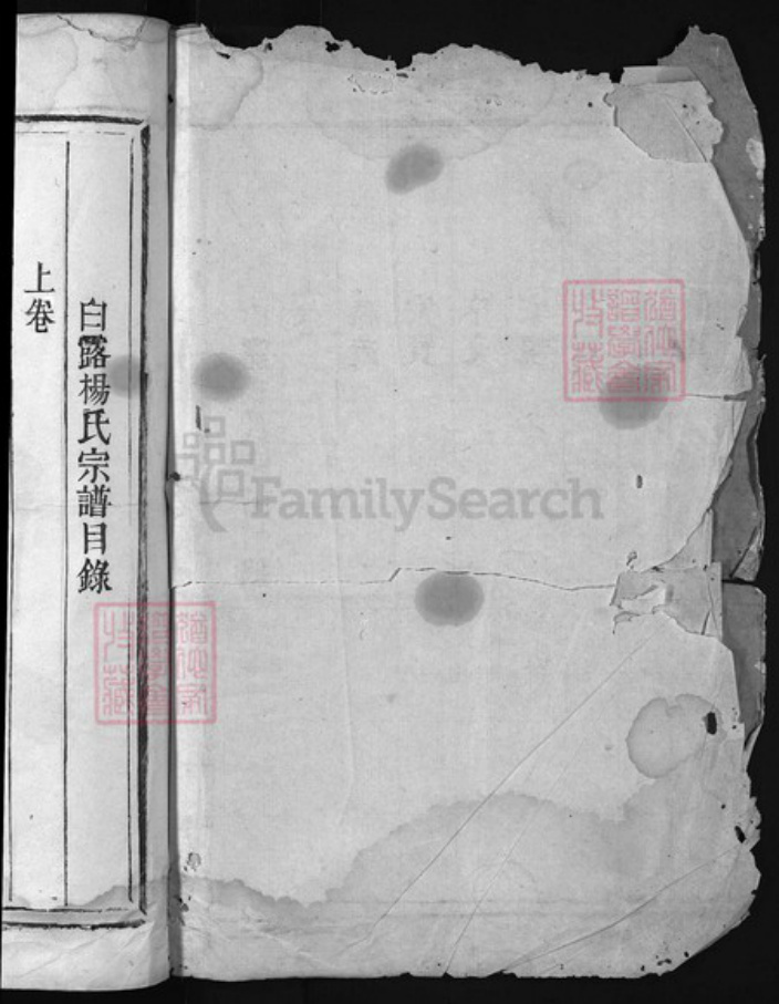 浙江省杨氏族谱-白露杨氏宗谱 [上下卷].pdf电子版插图1