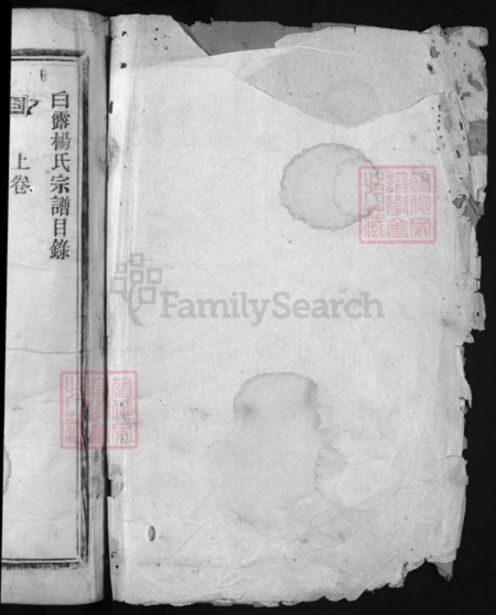 浙江省杨氏族谱-白露杨氏宗谱 [1卷].pdf电子版插图1