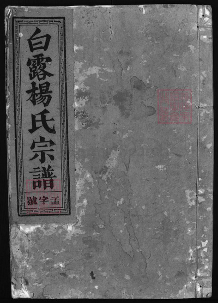浙江省杨氏族谱-白露杨氏宗谱 [3卷].pdf电子版插图