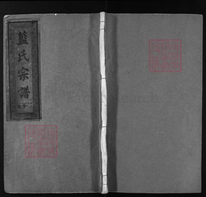 福建省龙岩市上杭县蓝氏族谱-蓝氏宗谱 [8卷].pdf电子版插图
