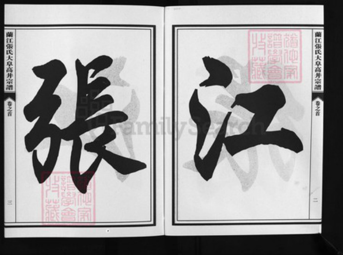 浙江省张氏族谱-兰江张氏大阜高丼宗谱 [4卷,首1卷].pdf电子版插图3
