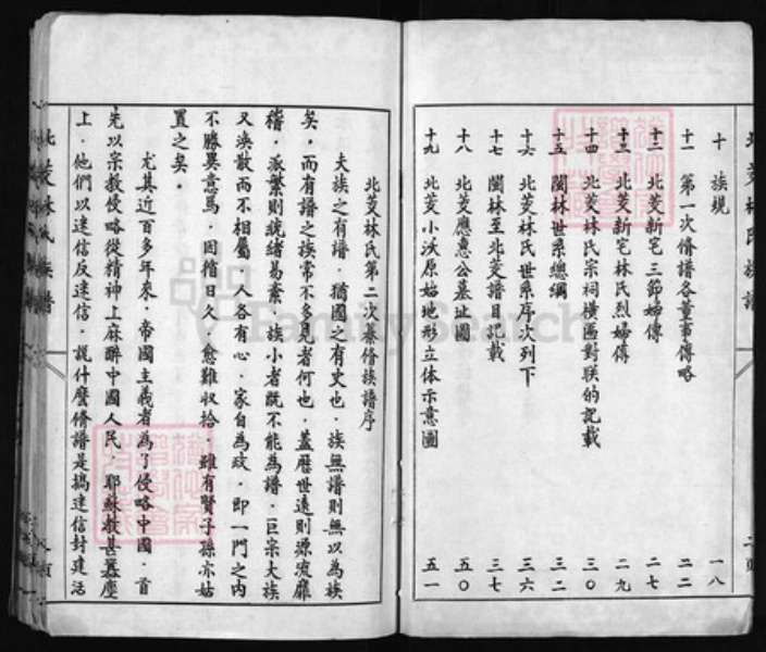 福建省福州市连江县林氏族谱-北茭林氏族谱 [不标卷数].pdf电子版插图3