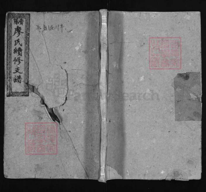四川省成都市简阳市廖氏族谱-𫞚阳廖氏续修支谱 [13卷不含卷1,首3卷].pdf电子版插图