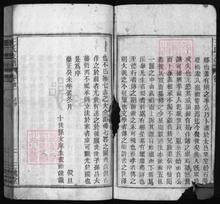 江苏省苏州市太仓市王氏族谱-王氏支谱 [14卷, 首2卷].pdf电子版插图2