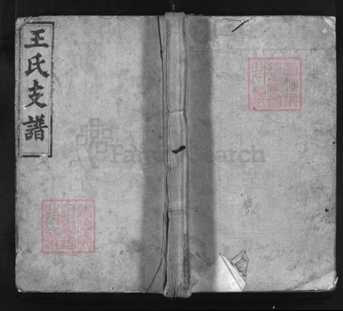 湖南省益阳市安化县王氏族谱-王氏续修族谱 [13卷,首3卷].pdf电子版插图