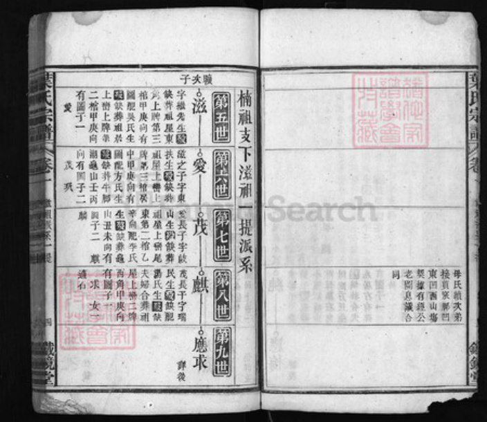 安徽省安庆市宿松县叶氏族谱-叶氏宗谱 [残卷].pdf电子版插图4