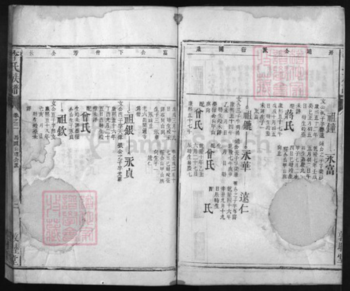 湖北省李氏族谱-李氏族谱 [残卷].pdf电子版插图2
