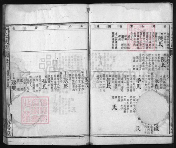湖北省李氏族谱-李氏族谱 [残卷].pdf电子版插图4