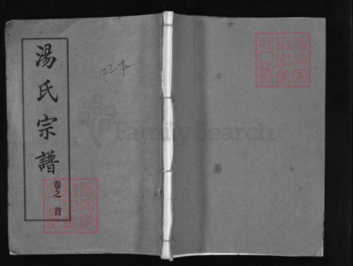 湖北省黄冈市红安县汤氏族谱-汤氏宗谱 [20卷, 首2卷].pdf电子版插图