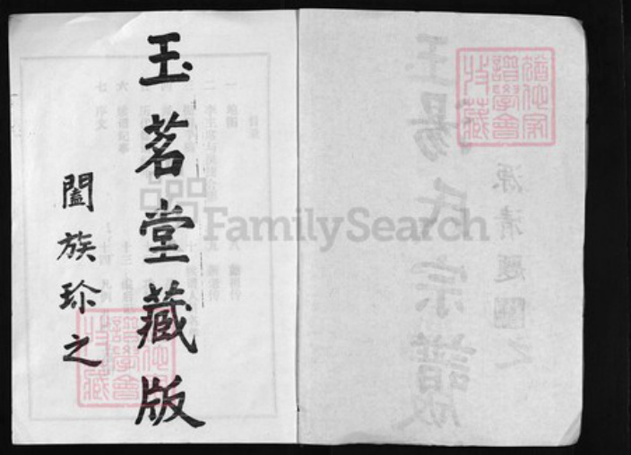 湖北省黄冈市红安县汤氏族谱-汤氏宗谱 [20卷, 首2卷].pdf电子版插图1