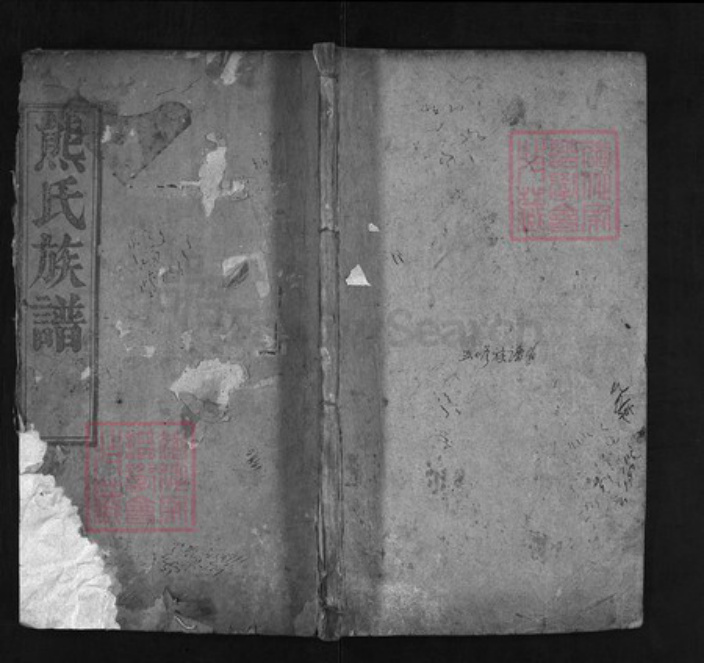 湖北省黄冈市红安县杏花乡熊氏族谱-熊氏族谱 [12卷, 首3卷].pdf电子版插图