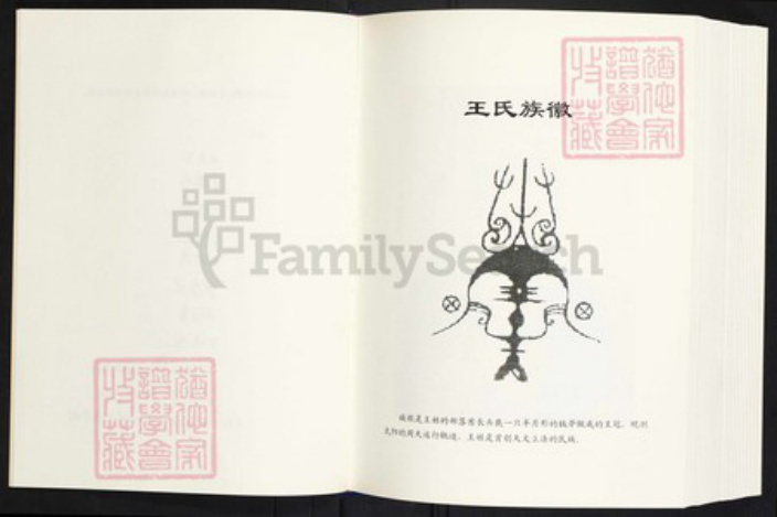 云南省曲靖市师宗县丹凤街道王氏族谱-王启高族谱.pdf电子版插图1
