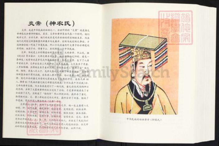 云南省曲靖市师宗县丹凤街道王氏族谱-王启高族谱.pdf电子版插图3