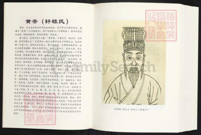 云南省曲靖市师宗县丹凤街道王氏族谱-王启高族谱.pdf电子版插图4