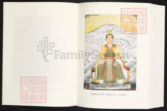 云南省曲靖市师宗县丹凤街道王氏族谱-王启高族谱.pdf电子版插图5