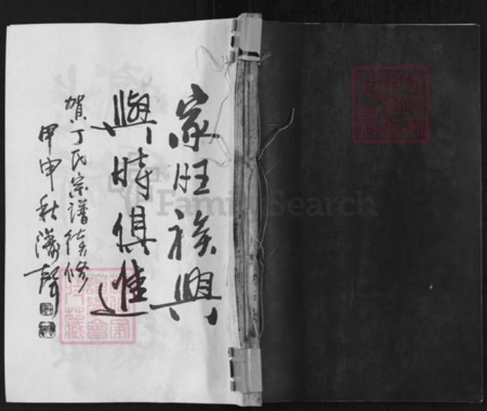 江苏省常州市江苏省常州市武进县丁氏双桂堂族谱-董林丁氏宗谱.pdf电子版插图