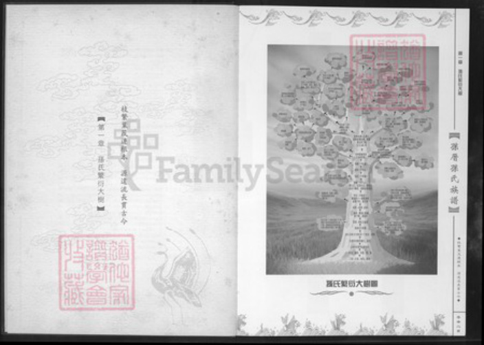 福建省厦门市孙氏族谱-乐安堂孙厝孙氏族谱.pdf电子版插图4