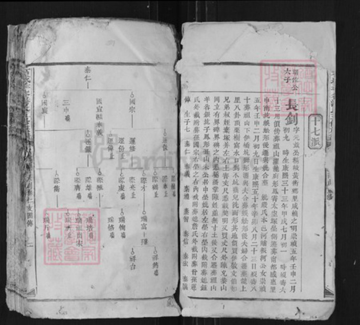 江西省赣州市石城县潘氏族谱-石城羊谷潘氏五修族谱.pdf电子版插图1