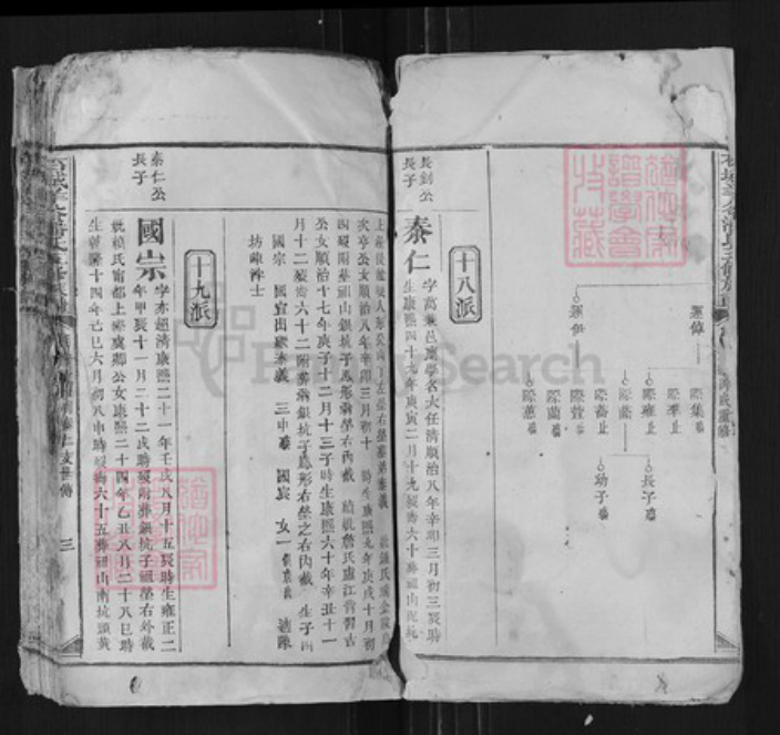 江西省赣州市石城县潘氏族谱-石城羊谷潘氏五修族谱.pdf电子版插图2
