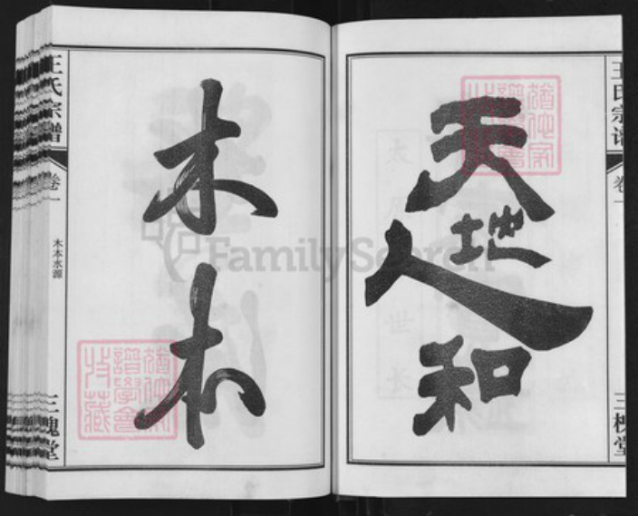 安徽省合肥市长丰县水湖镇王氏三槐堂族谱-王氏兴隆宗谱.pdf电子版插图3 安徽省合肥市长丰县水湖镇王氏三槐堂族谱-王氏兴隆宗谱.pdf电子版插图3