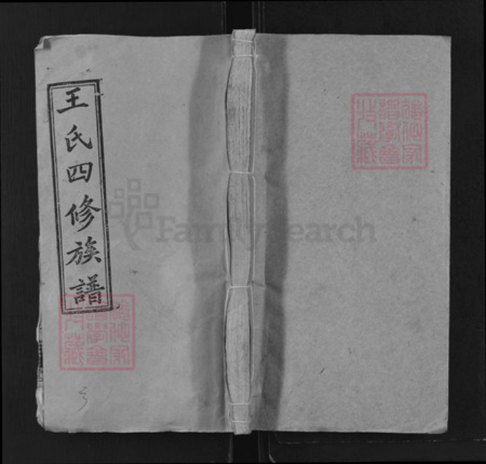 湖南省邵阳市王氏三槐堂族谱-王氏四修族谱.pdf电子版