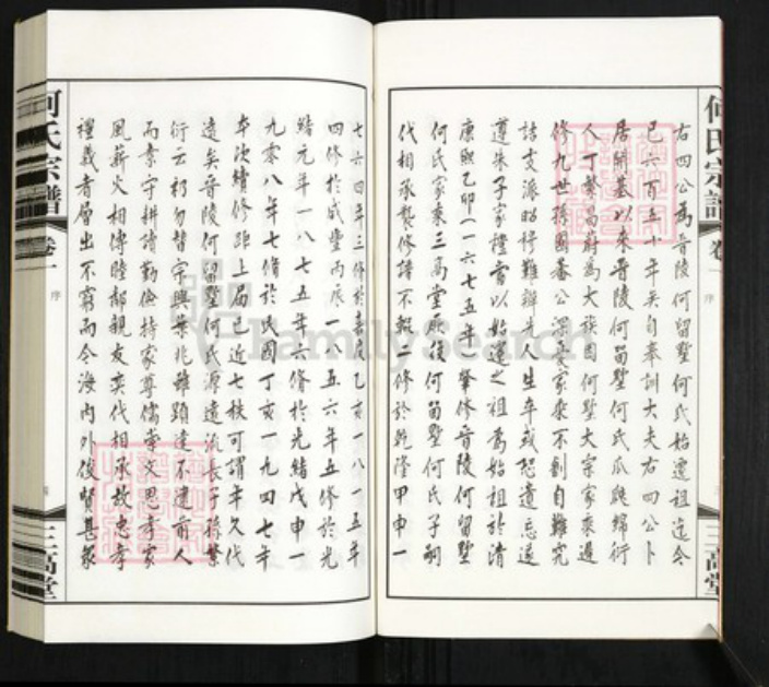 江苏省镇江市丹阳市陵口镇何氏三高堂族谱-何氏宗谱.pdf电子版插图5