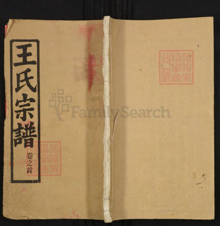 湖北省鄂州市华容区王氏槐荫堂族谱-王氏宗谱.pdf电子版