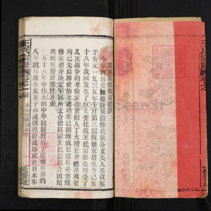 湖北省鄂州市华容区王氏槐荫堂族谱-王氏宗谱.pdf电子版插图2